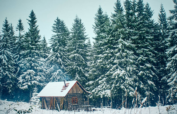 Scenic mountain landscape  in the winter season. Carpathian, Ukraine. - Fotoğraf, Görsel