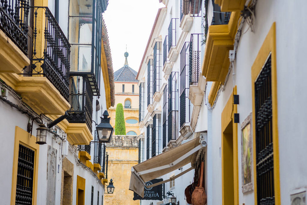 cordoba, Spain. 14th august, 2020: views to colorful streets of cordoba city, Spain - Photo, Image