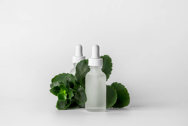 Face serum on a light background. Nearby green leaves.. - Photo, Image