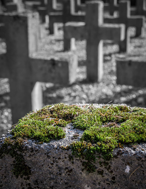 墓地の石の十字架上の緑の苔. - 写真・画像