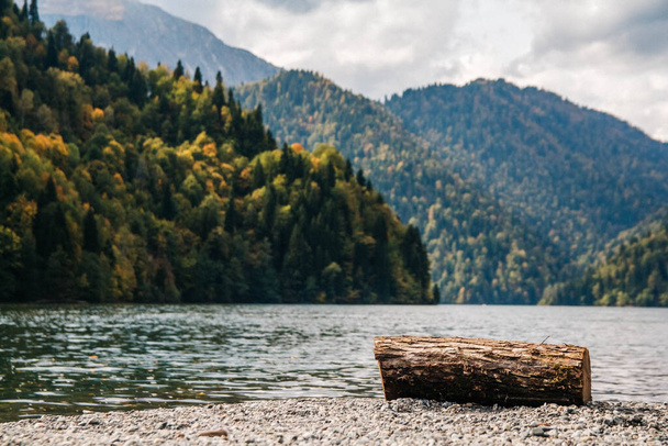 山や森の中の湖で伐採された木の丸太。美しい風景。テキストまたは広告の場所. - 写真・画像