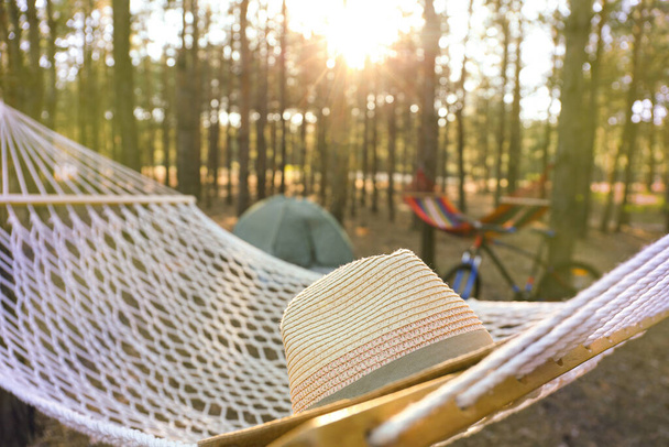 Hammock with hat in forest on summer day - Photo, Image