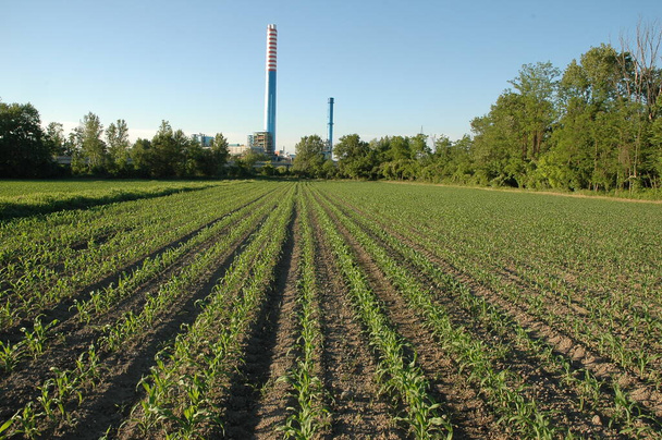industriële schoorsteen nabij een geploegd veld - Foto, afbeelding