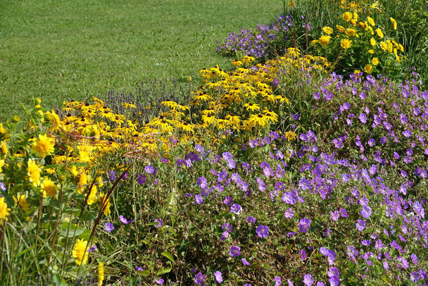 Blumenrabatte in einem Park - Фото, зображення