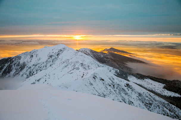 雪をかぶった冬の山の峰、フリーライド、高山の景色、カルパティア - 写真・画像