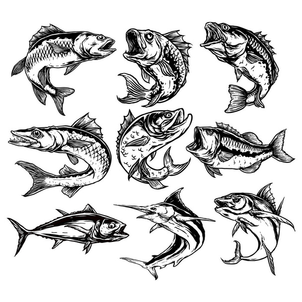 векторный набор изображений хищных рыб - Вектор,изображение