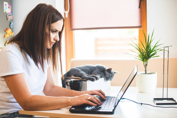 ノートパソコンとノートパソコンを持って家の木製のテーブルで彼女の膝の上に猫と一緒に座っている白いTシャツの若い女性、作業 - 写真・画像