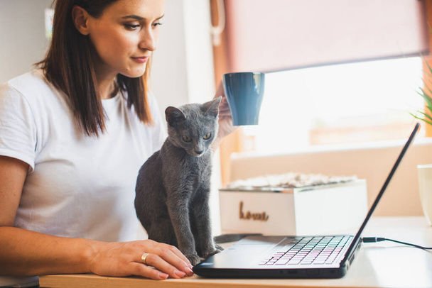 Beyaz tişörtlü genç bir kadın kucağında kedisiyle evdeki tahta masada dizüstü bilgisayar ve defterle oturuyor. - Fotoğraf, Görsel