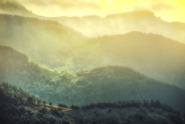 Туманный пейзаж в горах. Солнечные лучи освещают склоны гор.  - Фото, изображение