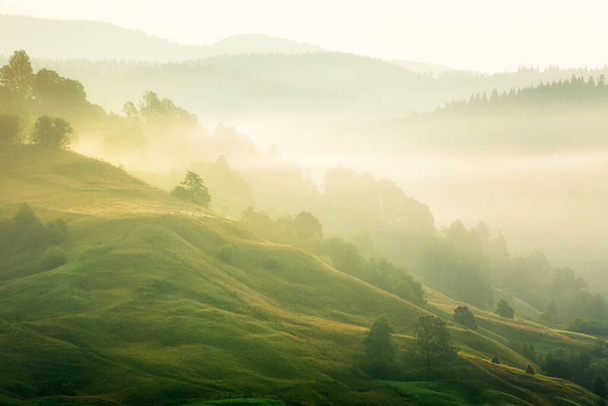 Pohled na mlhavé kopce osvětlené slunečními paprsky. Krajina v blízkosti horské vesnice. - Fotografie, Obrázek