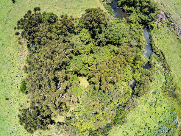 Aerial view of Farm field, forest and stream in Sao Francisco de Paula, Rio Grande do Sul, Brazil - Photo, Image
