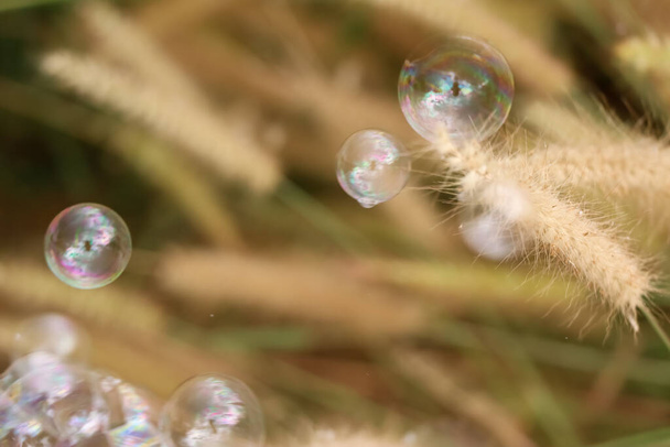bubbles and natural background in daytime - Photo, Image