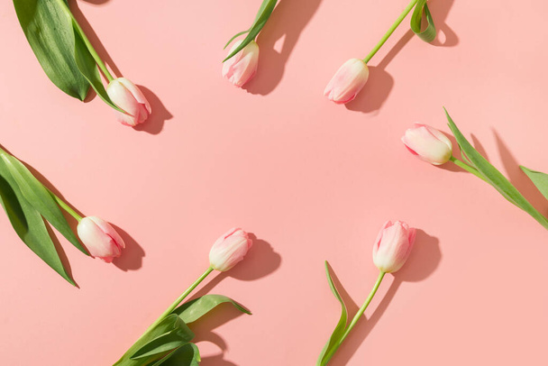Pink tulips on pink. Floral pattern. Space for text. - Foto, immagini