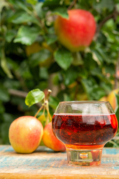 Egy pohár édes rózsa almabor Normandiából, melyet a franciaországi kertben szolgálnak fel, és egy zöld almafa érett vörös gyümölcsökkel a háttérben. - Fotó, kép