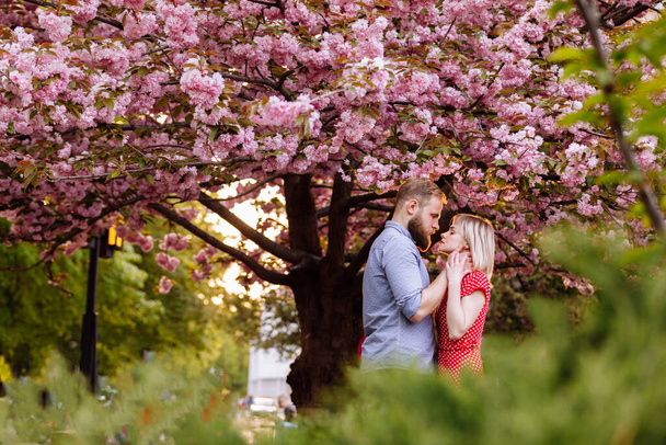 Stylish lovers near the blossoming Sakura. beautiful young couple, man with beard and blonde woman hugging and having fun in the spring park. Concept spring. fashion and beauty. - Zdjęcie, obraz
