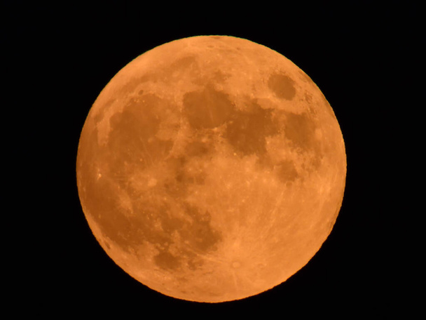 2020 July's Hunter moon in the dark night sky over Lakeville, Massachusetts, USA.  - Photo, Image