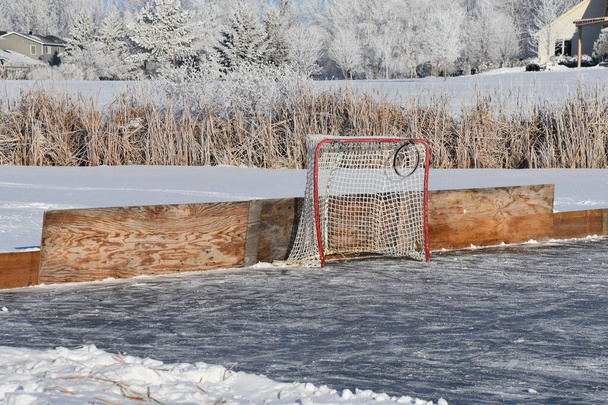 Frost covers the environment of a makeshift hockey rink in a suburban slough - Photo, Image