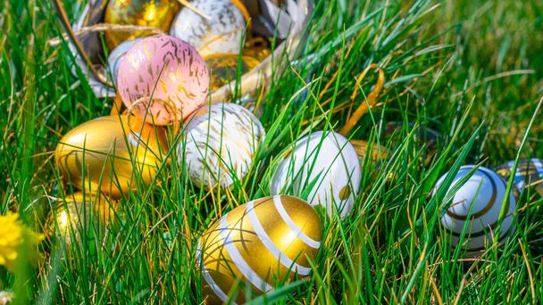 Wielkanocny królik. Złote jajko z żółtymi wiosennymi kwiatami w koszu na zielonym tle trawy. Szczęśliwej koncepcji Wielkanoc - Zdjęcie, obraz
