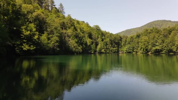 Jezioro odzwierciedlające zielony krajobraz - Materiał filmowy, wideo