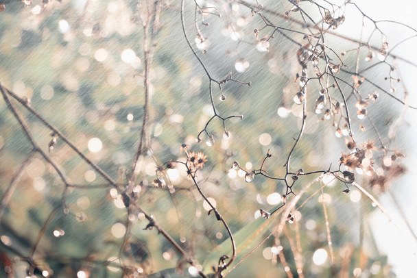 Water droplets on leaves and bokeh - Fotografie, Obrázek