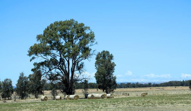 Views of paddocks and trees in the Yarra Valley, Victoria, Australia - Photo, Image