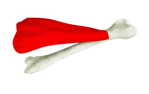 Human thigh bone in red superhero cape on white background. Osteoporosis world day or power or like a hero or confident or health strong bones or awareness and prevention concept. 3D illustration - Photo, Image