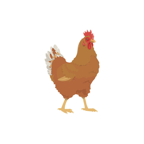 Gallina di pollo, icona dell'uccello da fattoria, pollame agricolo e pollame da uova, vettore. Pollo gallina prodotti alimentari a base di carne o macelleria fattoria uccello simbolo isolato - Vettoriali, immagini