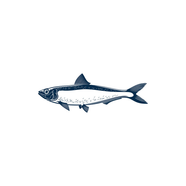 Сардинская изолированная рыба, нарисованная вручную. Векторный голубой морской зверь, хладнокровная сардинская морская водная среда обитания. Пильчард маслянистый кормит мелких эпипелагических рыбок в сельдь Clupeidae. Икона Сардина - Вектор,изображение