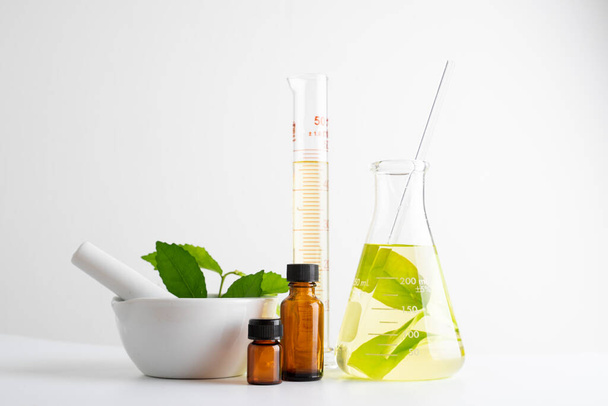 laboratory and research with alternative herb medicine natural skin care - Photo, image