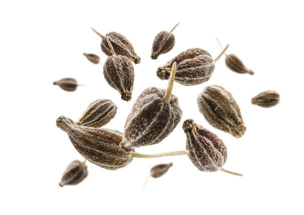Anise seeds levitate on a white background. - Photo, Image