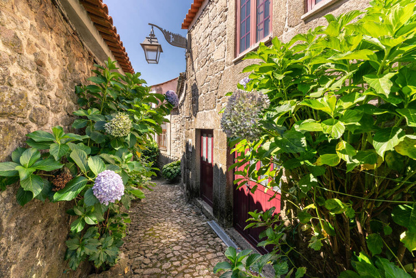 Rue pittoresque décorée avec des plantes vertes luxuriantes. Façades de bâtiment et rue en pierres. Trancoso, Portugal.  - Photo, image