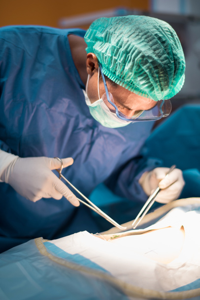 Team van artsen of chirurgen in ziekenhuis chirurgie opererende spoedeisende hulp tonen patiënt hartslag, tijdens coronavirus of covid-19 crisis, medisch concept.  - Foto, afbeelding