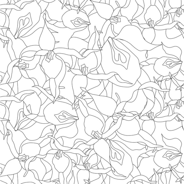 Lady's-slipper orchid monochrome seamless pattern art design elements stock vector illustration for web, for print, for gardening design, for product design, for packing design - Vektör, Görsel