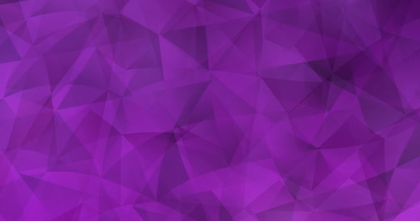 4K bucle púrpura claro, video rosa con materiales poligonales. Clip holográfico vibrante de moda en estilo semitono. Diseño para presentaciones. 4096 x 2160, 60 fps. - Imágenes, Vídeo