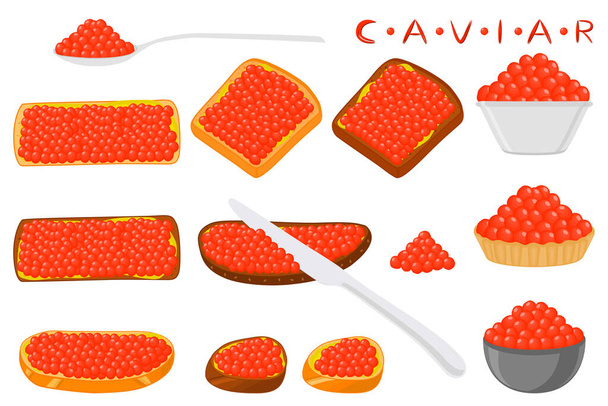 Illustration on theme big set various types fish caviar, bread different size. Bread consisting of tasty fish caviar, fatty butter for colored print on wallpaper. Many fish caviar on fresh soft bread. - Vector, Image