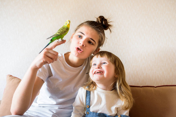 Happy children play with a parrot at the computertwo girls at home talking with a parrot. Pet. Budgerigar. online consultation of the vet - Foto, Imagem