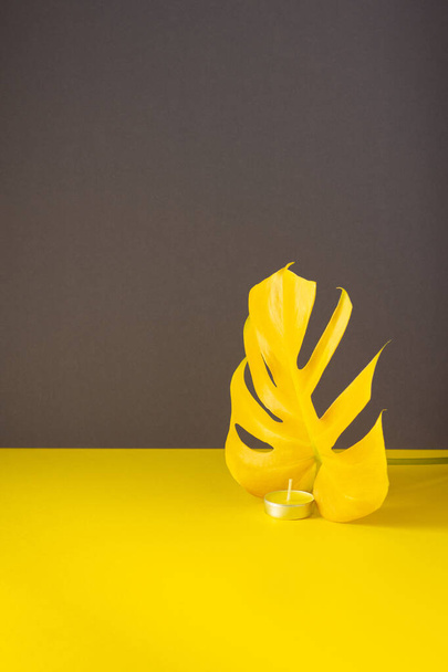 ガラスのキャンドルスティックの黄色のキャンドル、ろうそくの炎は、今年の流行の色、黄色の灰色の背景をモンステラの葉を模倣 - 写真・画像