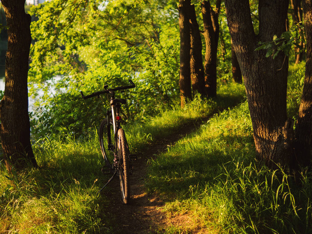 De fiets staat op een bospad. Zomer groen bos en fietstocht - Foto, afbeelding