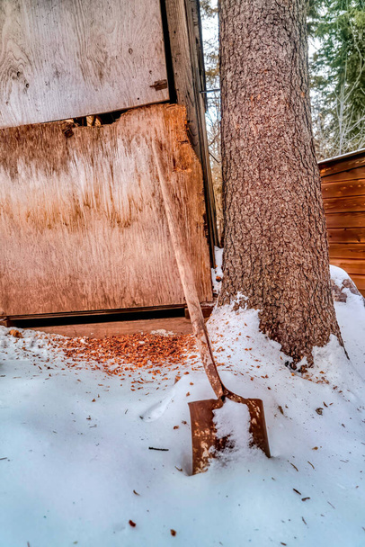 Rusty shovel against damaged wooden wall of old shed on snowy hill in winter - Photo, Image