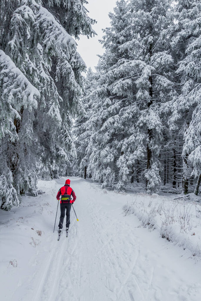 Winter Hiking in different places through the Thuringian Forest - Germany - Photo, Image