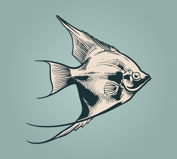 Vektor Vintage Illustration von Fisch - Vektor, Bild