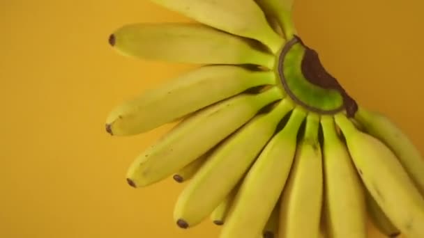 Banaanit haara pyörii värillinen tausta. Ruoka minimaalinen taide video. Kasvissyöjä kesä vitamiineja käsite - Materiaali, video