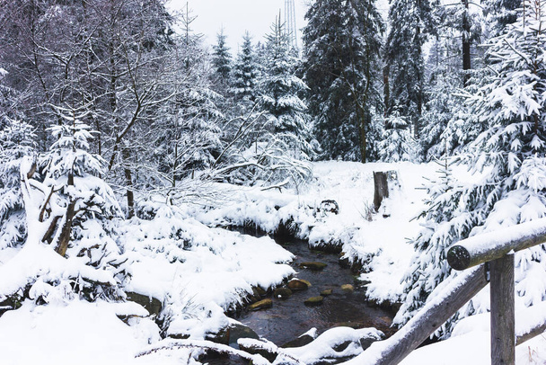 Mountain stream in a snowy forest. Winter landscape in the national European park. Winter tourism - Photo, Image