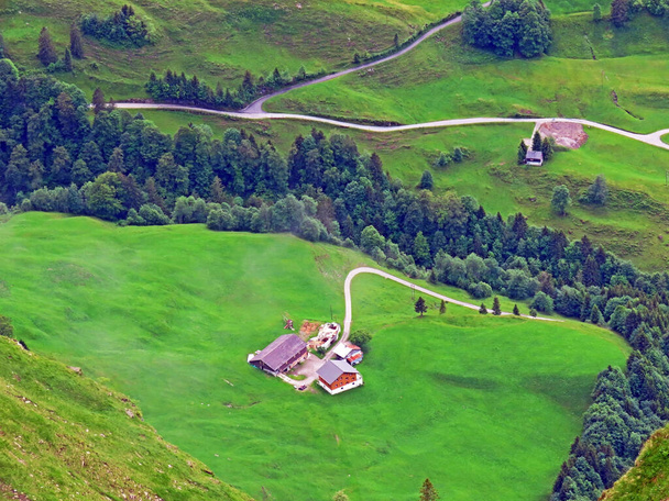 Alpesi legelők és legelők az Iberigi-régió felett és a Schwyz-Alpok lejtőin, Oberiberg - Schwyz kanton, Svájc (Kanton Schwyz, Schweiz) - Fotó, kép