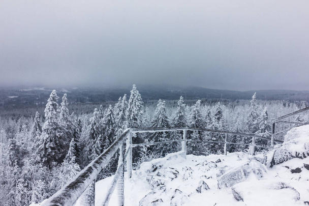 Uitzicht vanaf de berg naar de prachtige besneeuwde toppen van bomen en bomen. Winter Nationaal Park, Nieuwjaar en Kerst achtergrond. - Foto, afbeelding