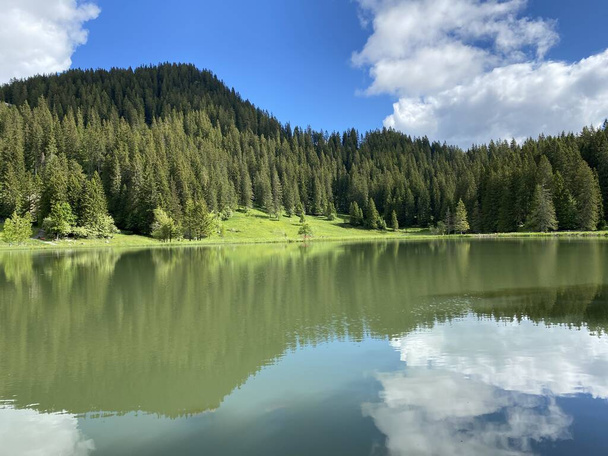 Az alpesi tó Seeblisee lábánál a hegylánc Első és a Schwyz Alpok hegylánc, Oberiberg - Canton Schwyz, Svájc (Kanton Schwyz, Schweiz) - Fotó, kép