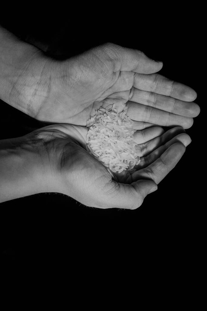 дві руки повні рисових зерен
 - Фото, зображення