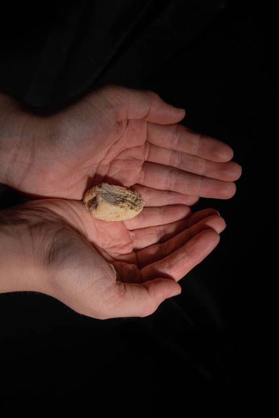 Pane italiano sulle mani vuote di un bambino - Foto, immagini