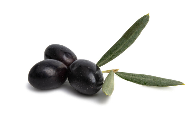 olives isolées sur fond blanc - Photo, image