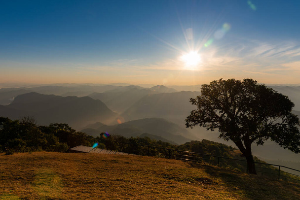 Зображення ландшафту світла від вечірнього сонця сяє і велике дерево, яке росте на високій горі, яка є туристичною пам'яткою в Таїланді. подорожування.. - Фото, зображення